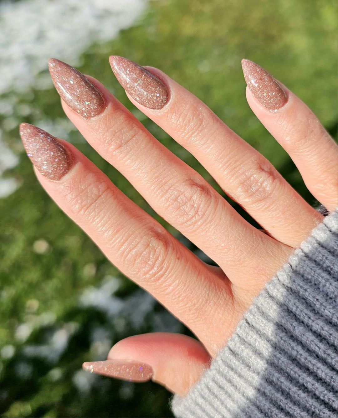 Day 12 - Blushing Rose