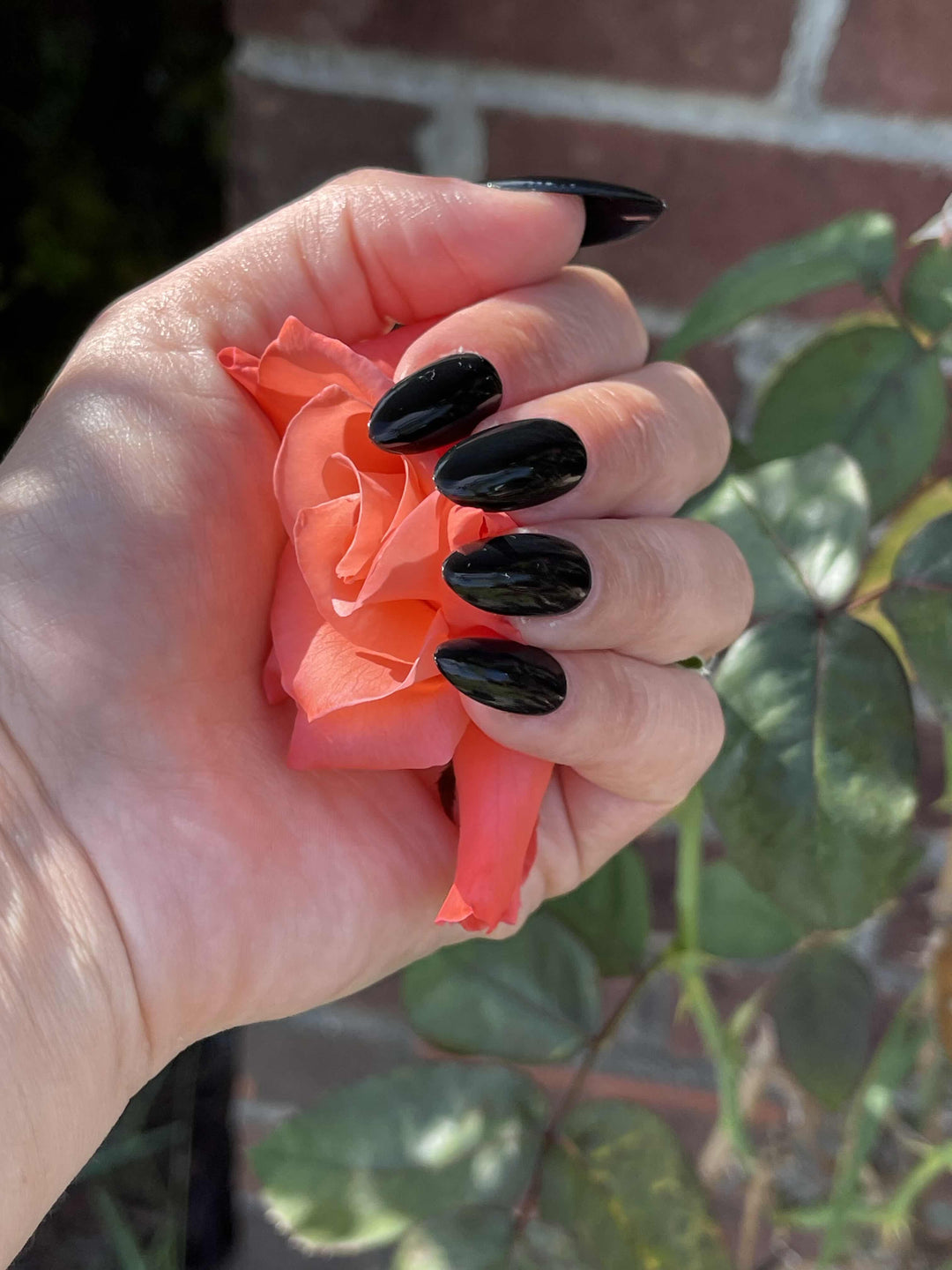 Dark Matter (All-In-One-Gel)