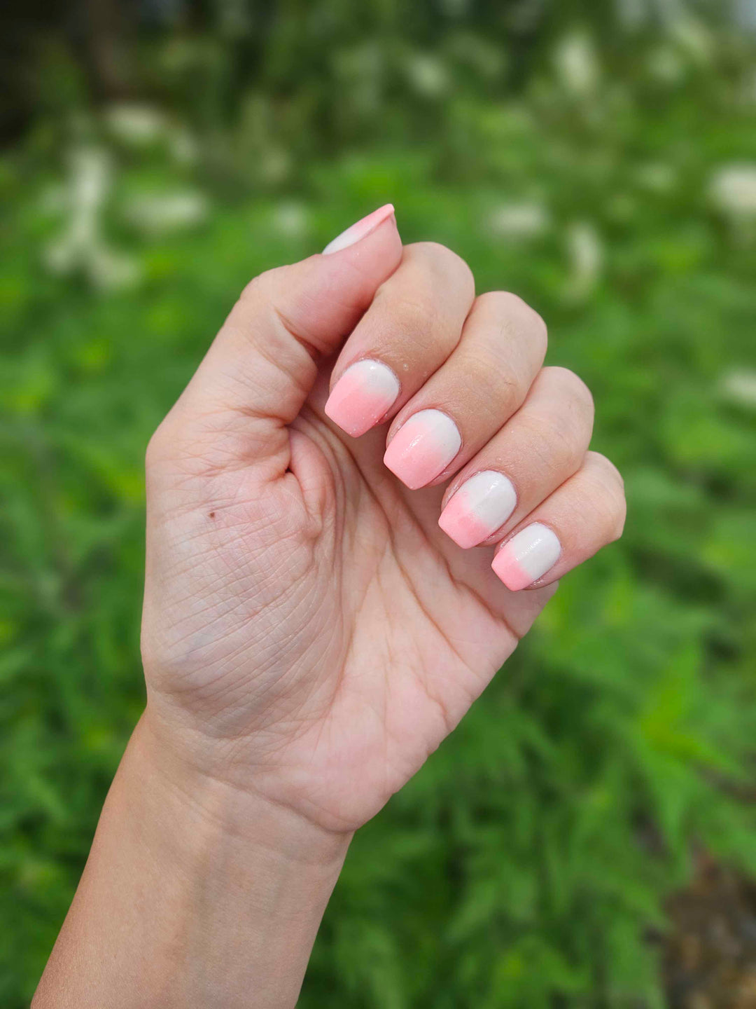 Toad-Ally Cute (Temp)