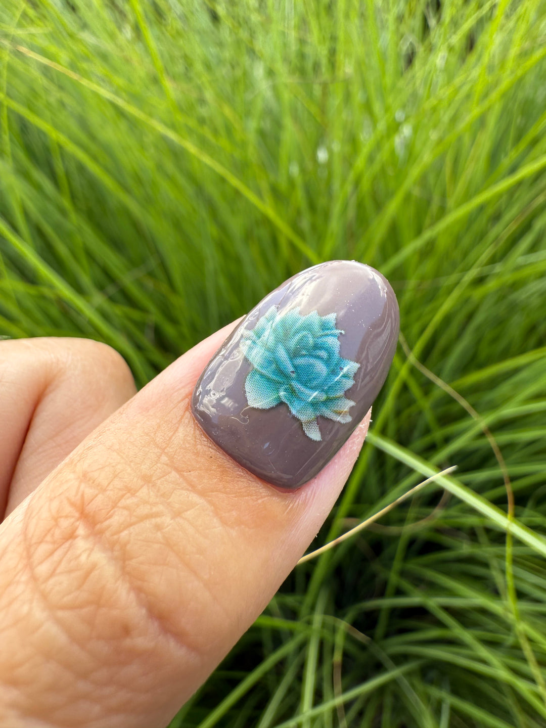 Transfer Foils Phase 3