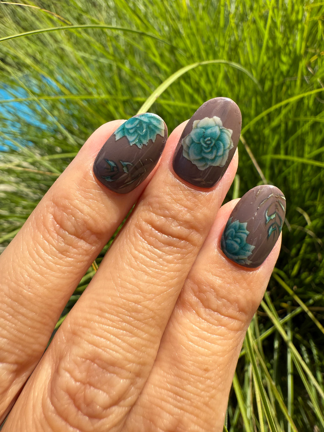 Transfer Foils Phase 3