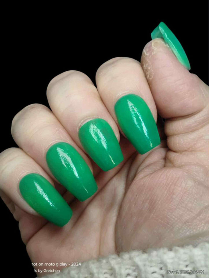 Rein-Dear Diary (Temp)