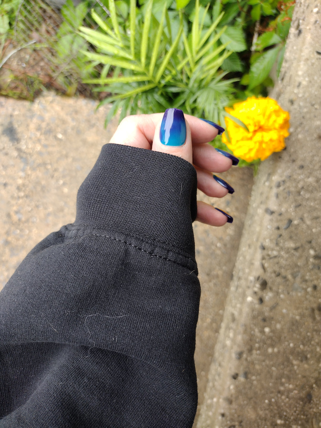 Midnight Sapphire (Temp) (Gel)
