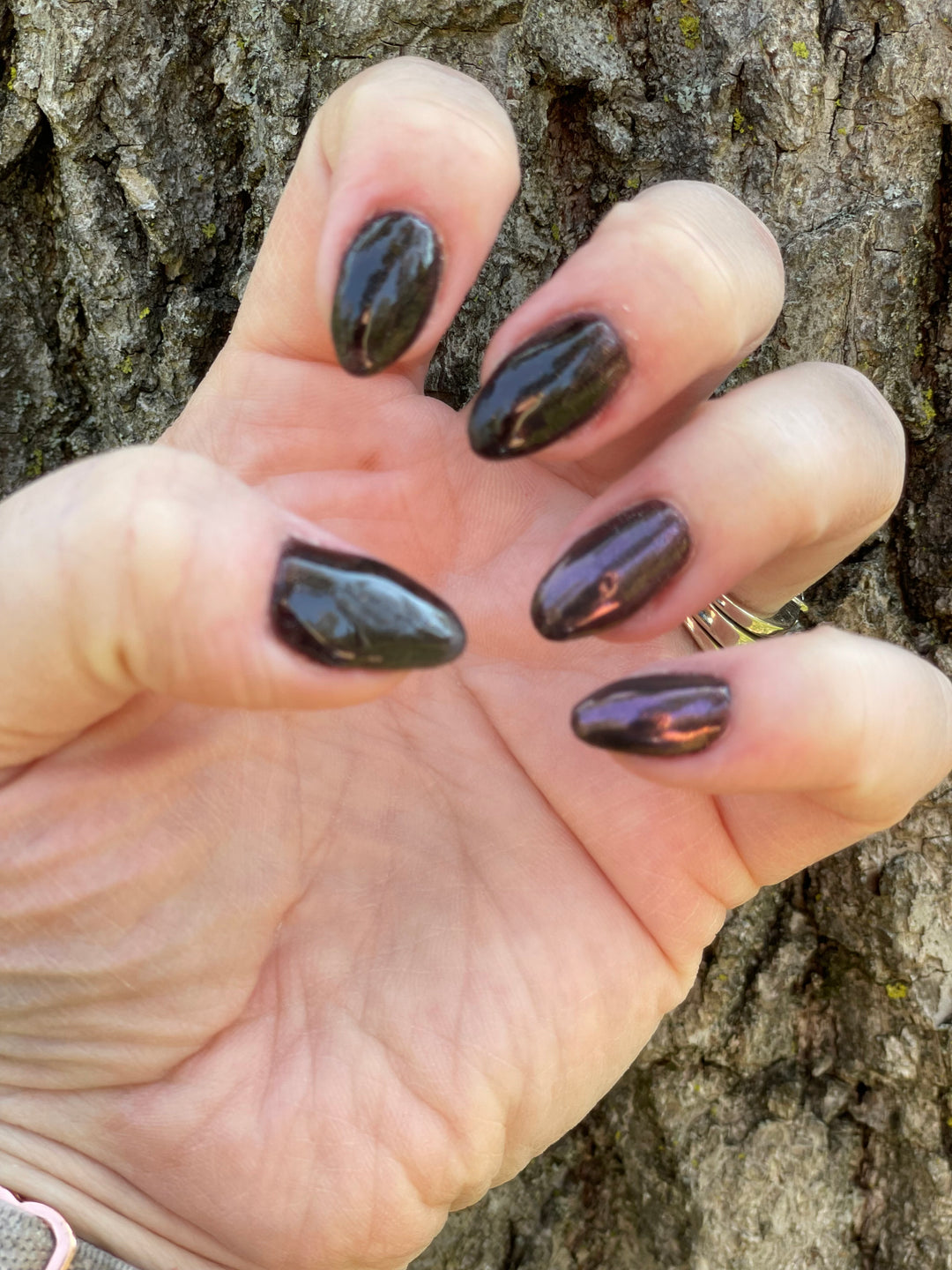 Adders Fork (Chrome)