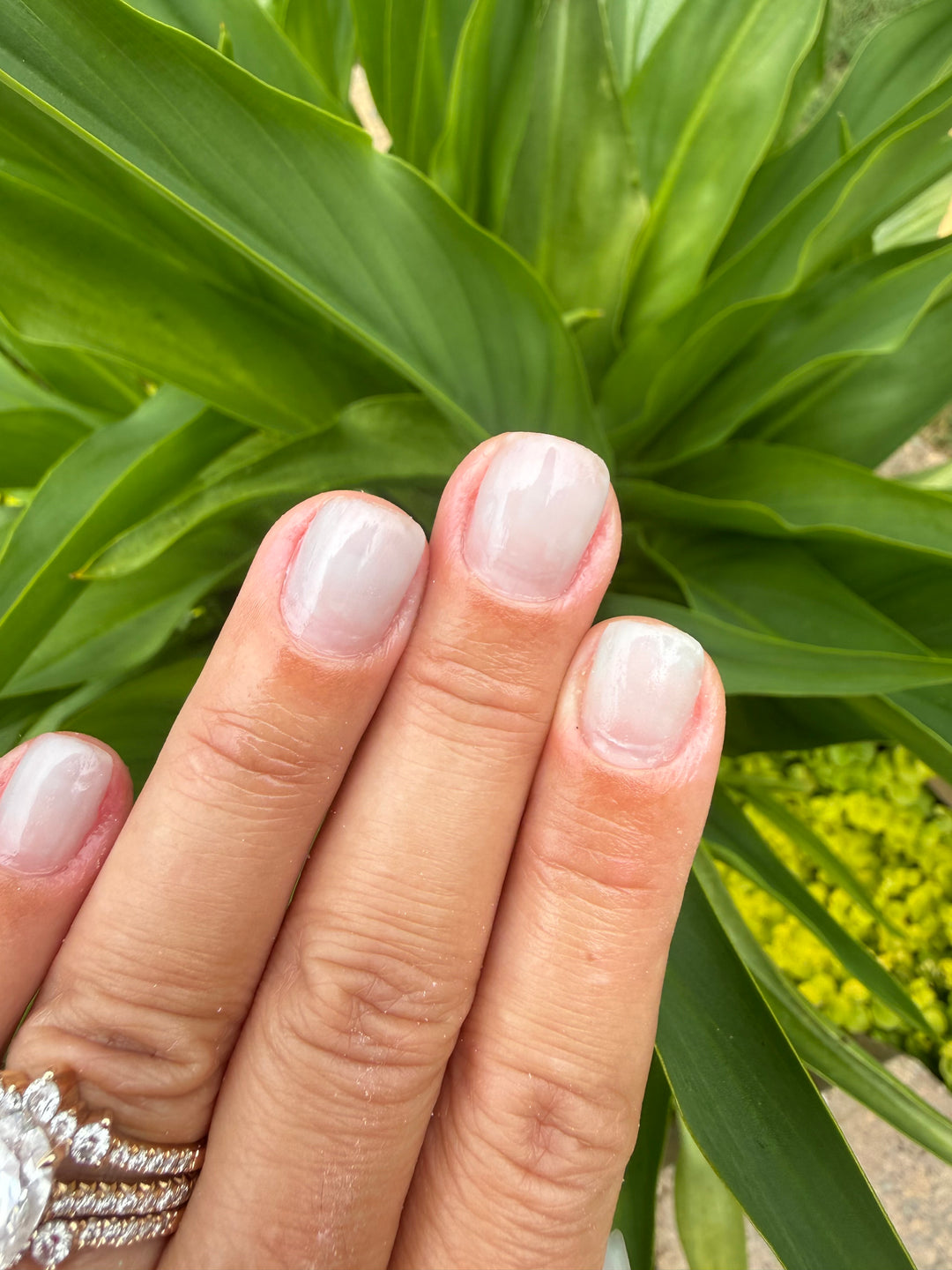 Sweet But Psycho (Builder Gel)
