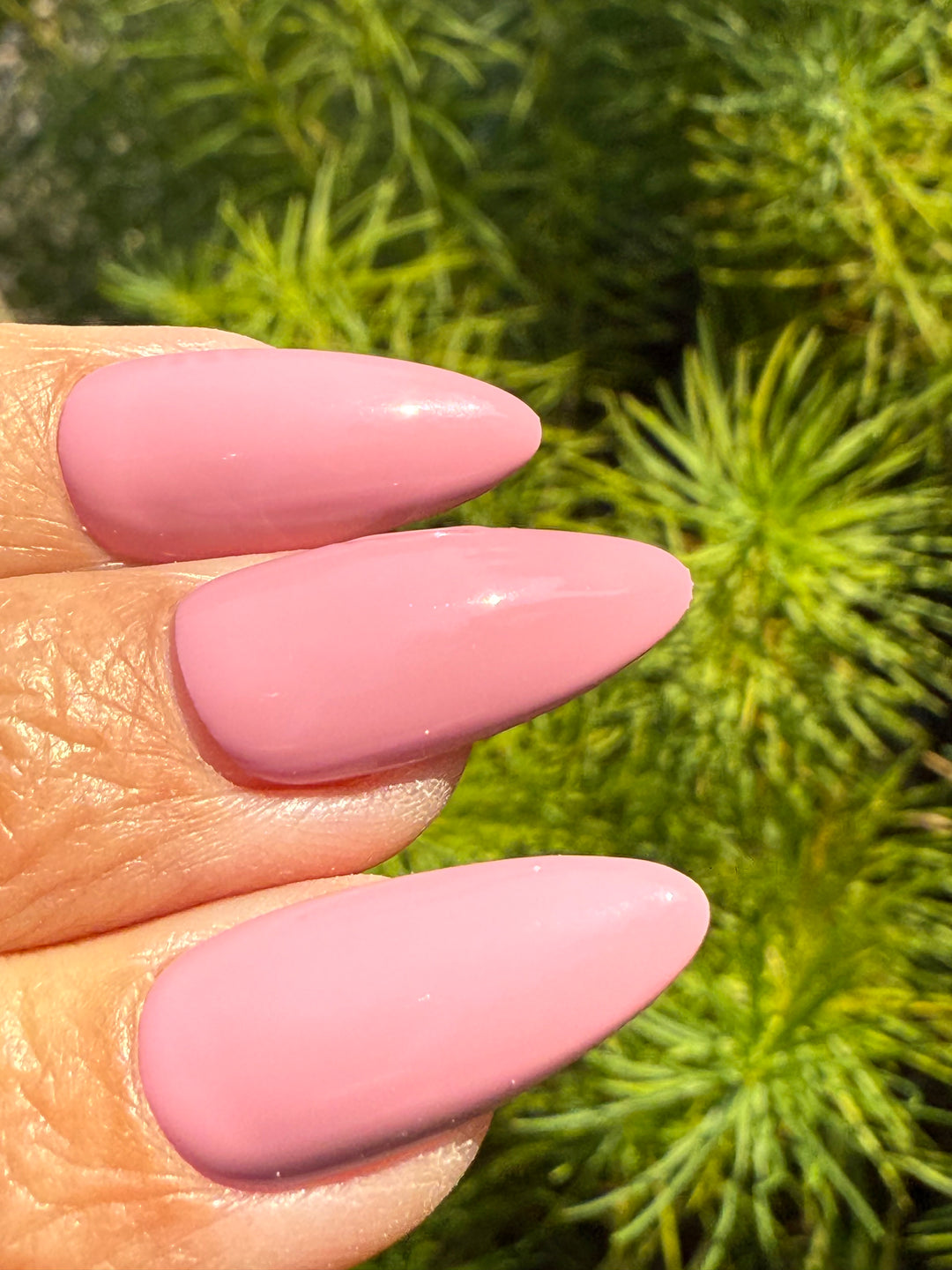 Prune It Up (All-In-One-Gel)