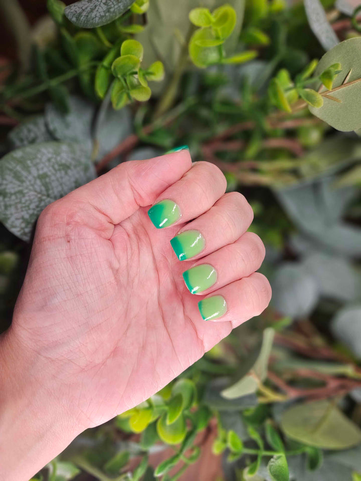 Rein-Dear Diary (Temp)