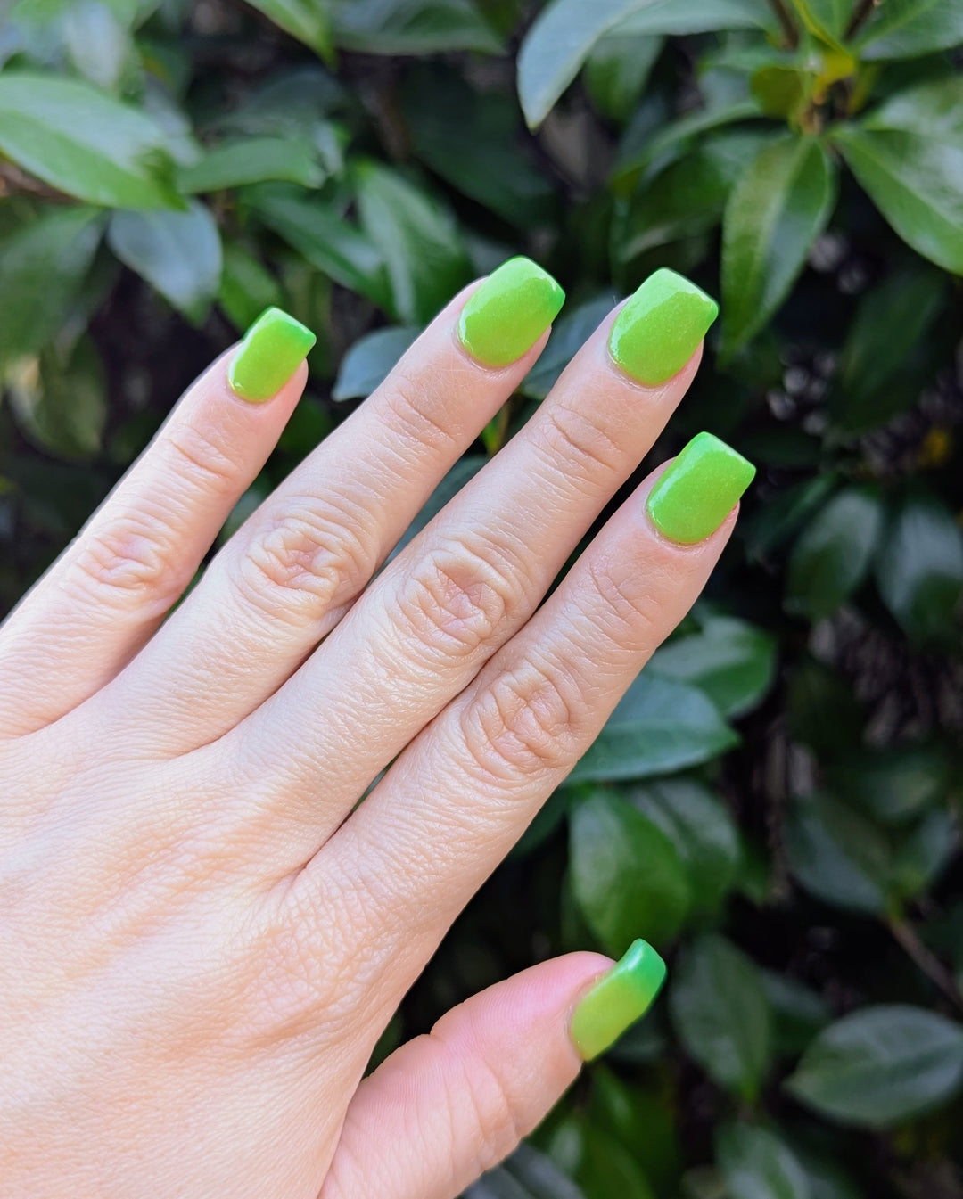 Last Call Clover (Temp, Glow)