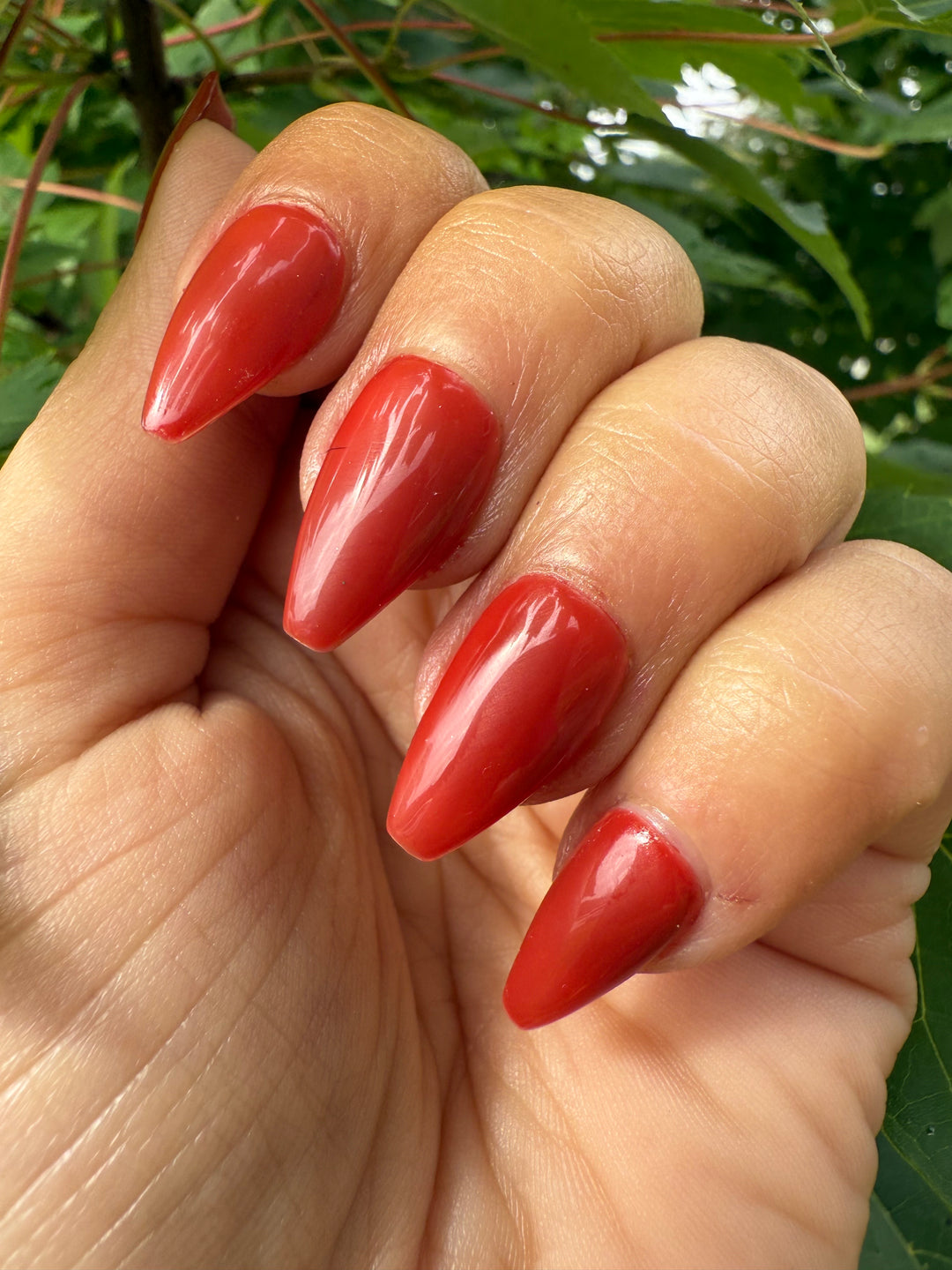 Barely Burnt (Gel)