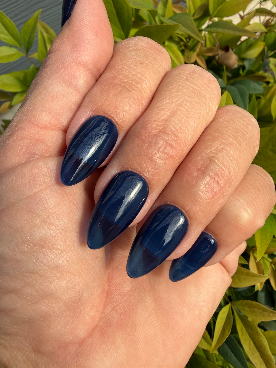 Transparent Tease (Gummy) (Gel)