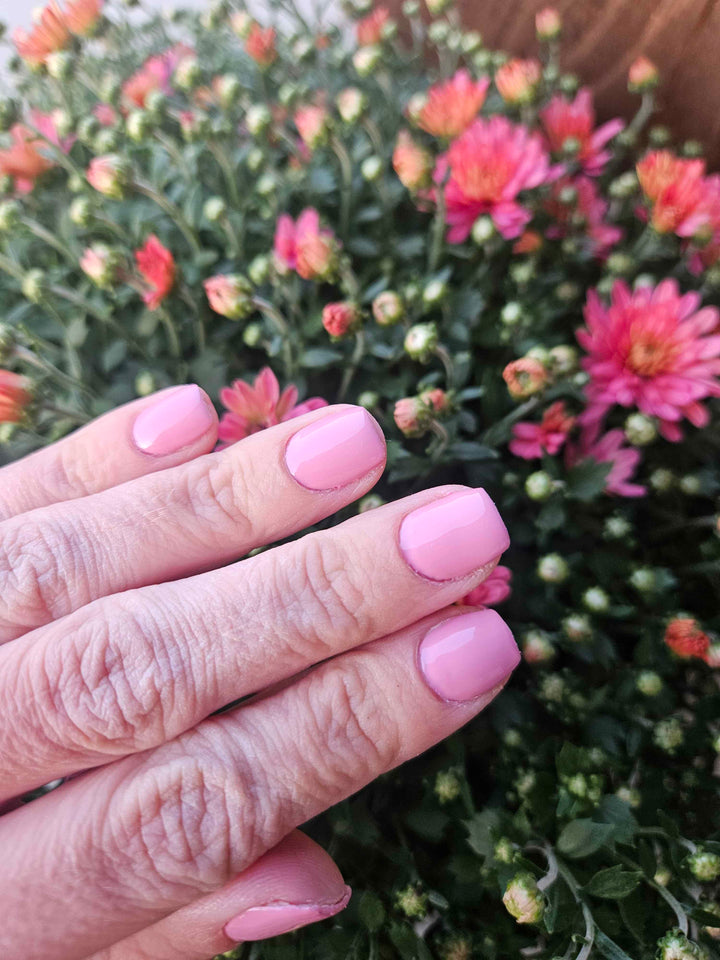 Prune It Up (All-In-One-Gel)