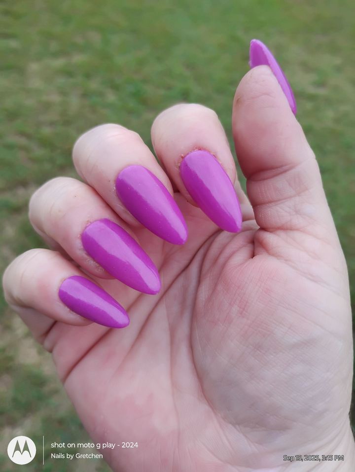 Haunted Happily Ever After