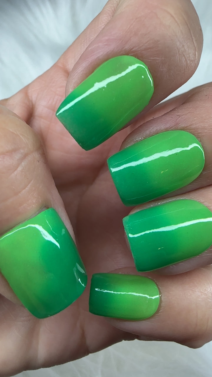 Rein-Dear Diary (Temp)