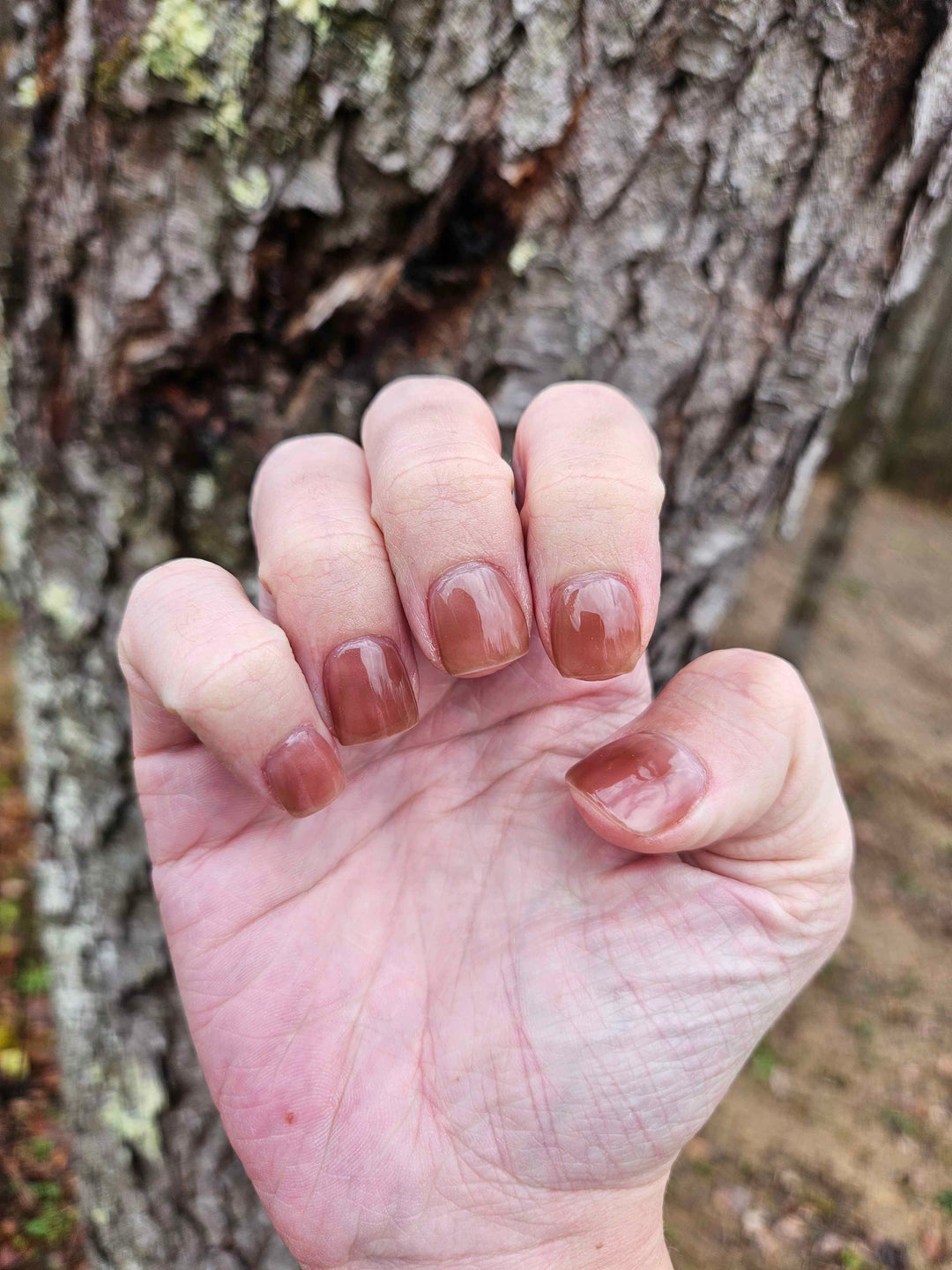 Sheer Brilliance (Gummy) (Gel)