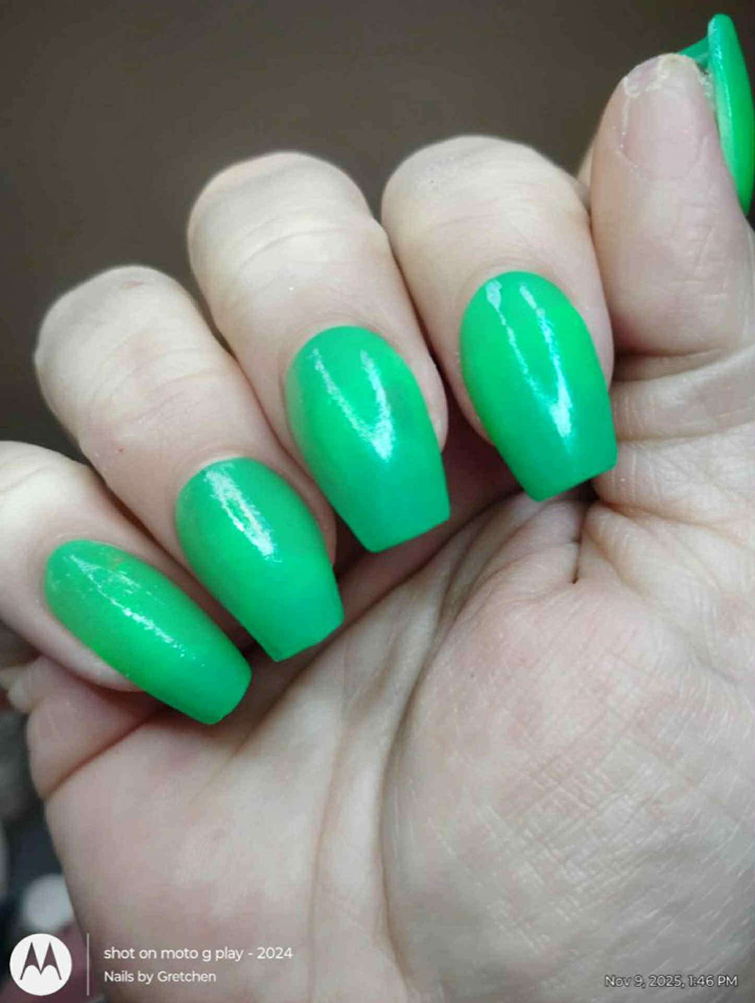 Rein-Dear Diary (Temp)