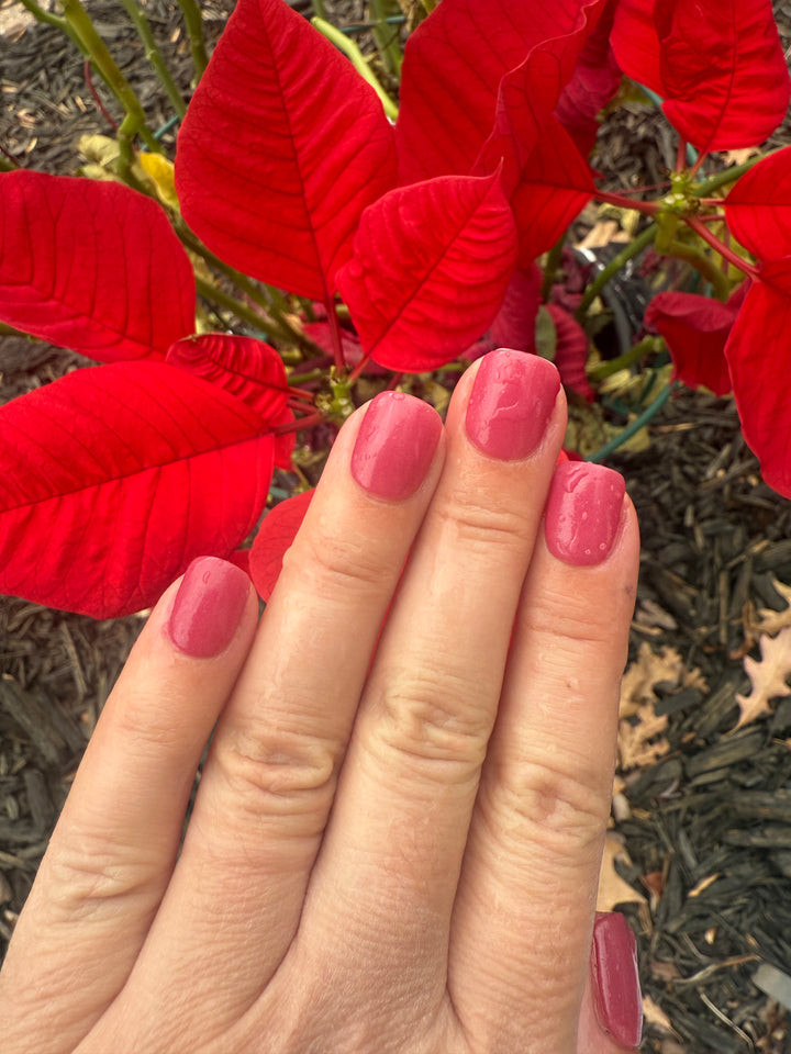 Signed, Sealed, Delivered (Temp)