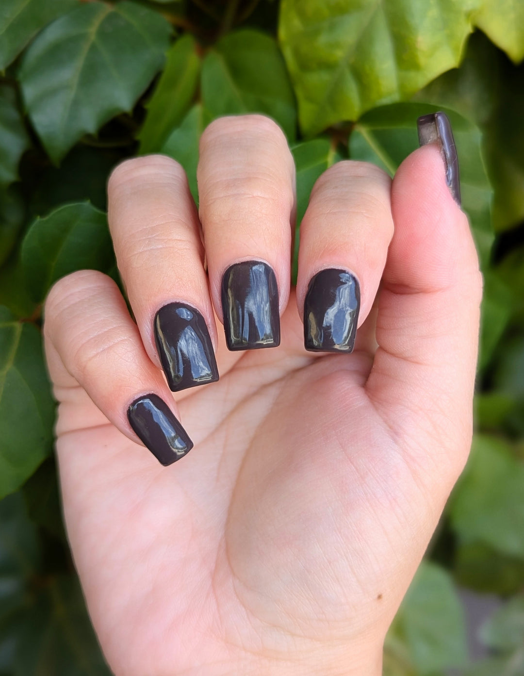 Fig & Fudge (All-In-One-Gel)