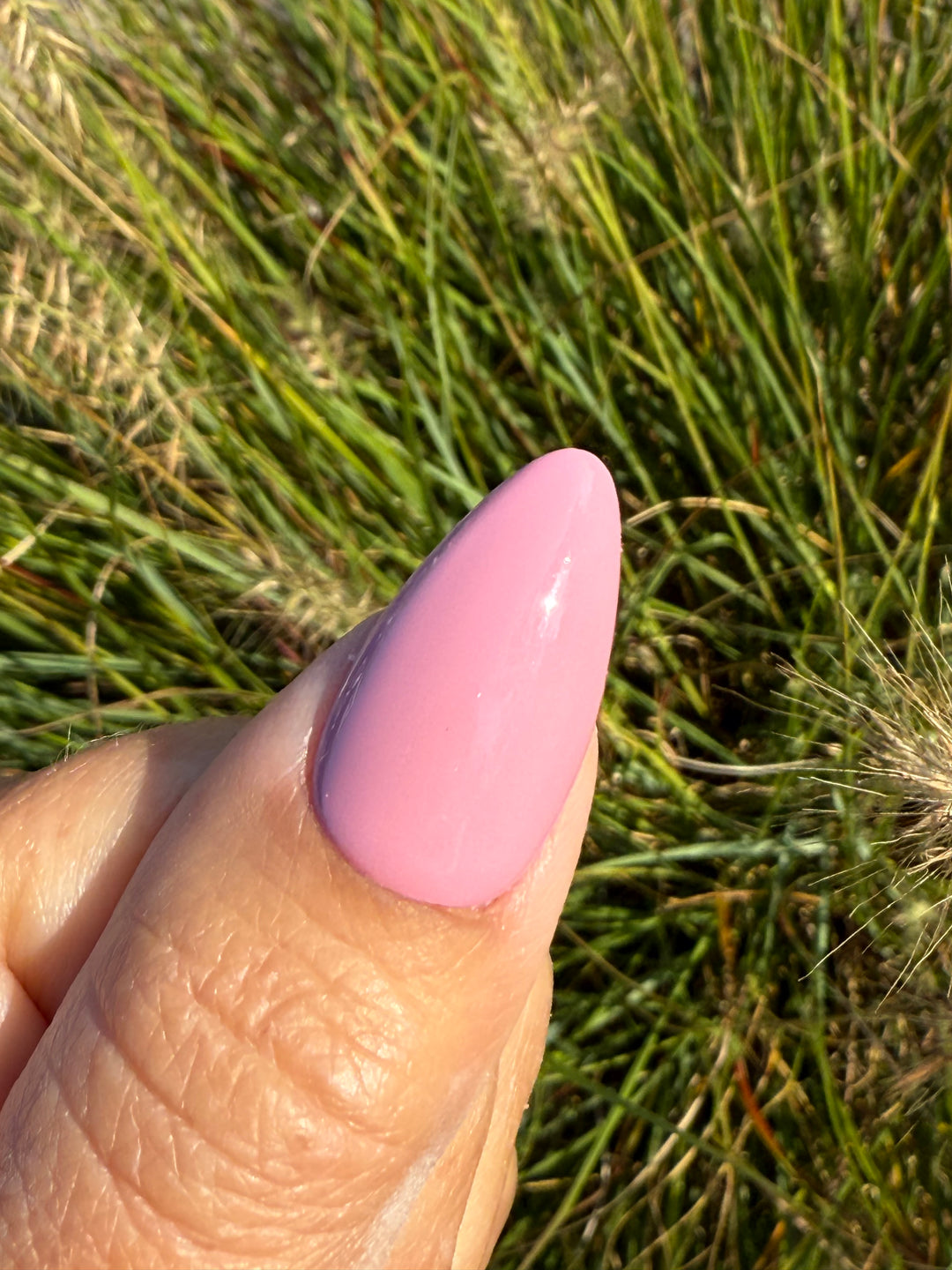 Prune It Up (All-In-One-Gel)