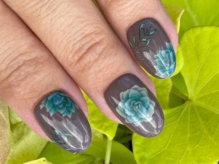 Transfer Foils Phase 3