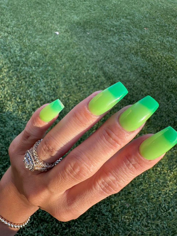 Rein-Dear Diary (Temp)