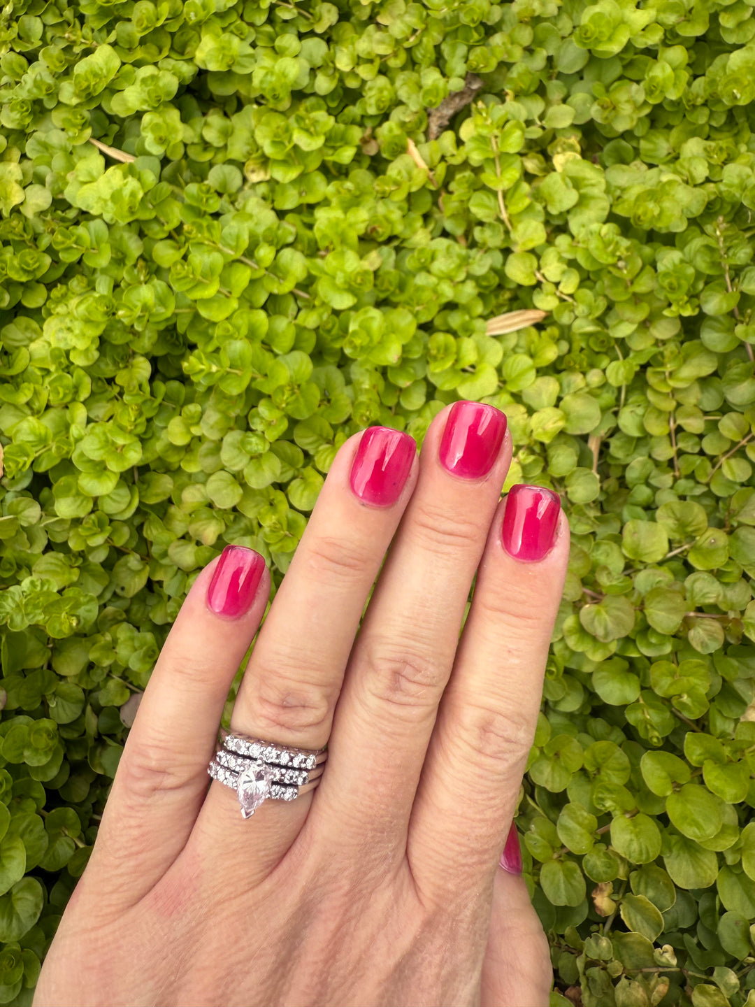 Gummy Goals (Gummy) (Gel)