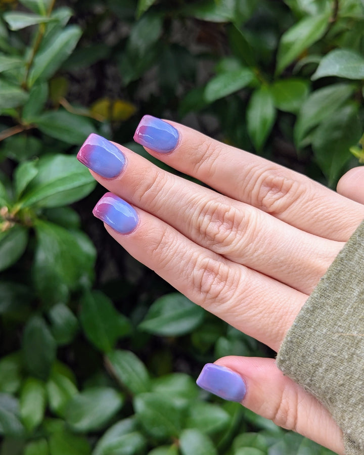 Midnight Snack (Temp)