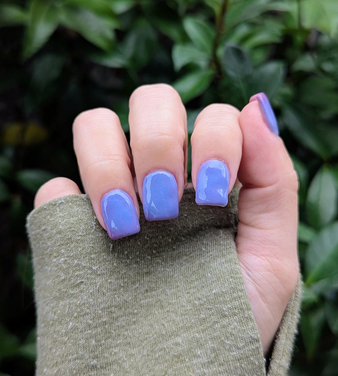 Midnight Snack (Temp)