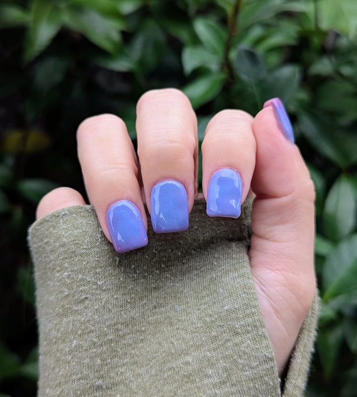 Midnight Snack (Temp)