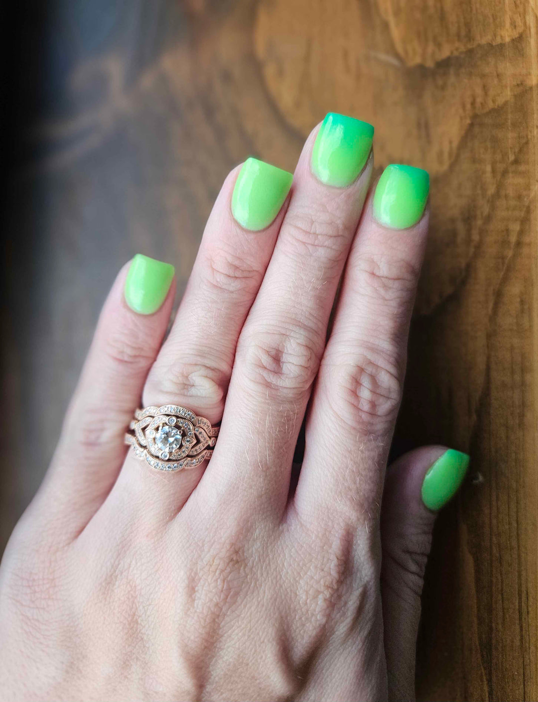 Rein-Dear Diary (Temp)