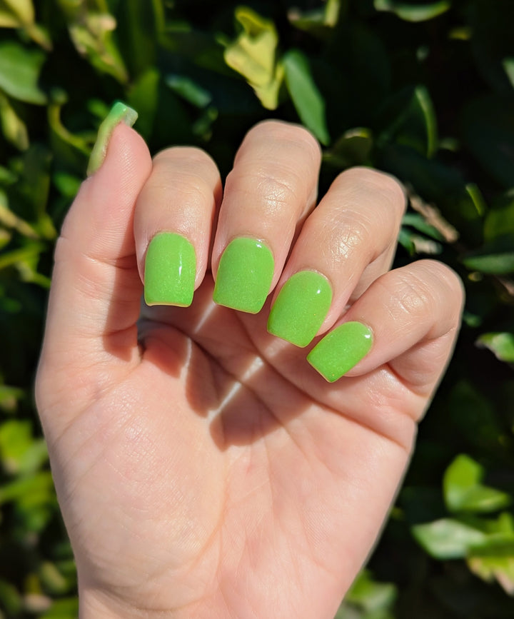 Last Call Clover (Temp, Glow)