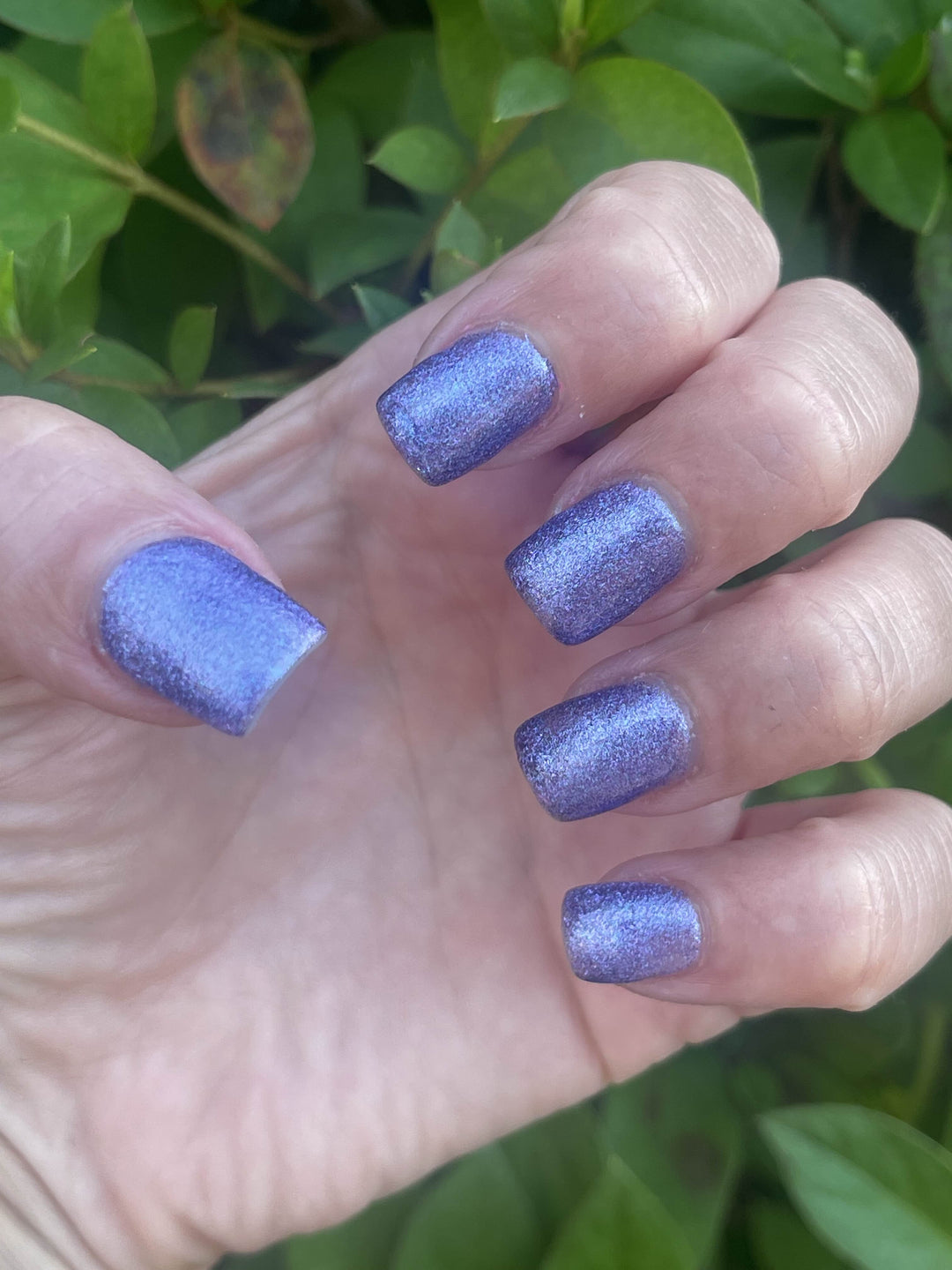 Morning Dew (Gel)