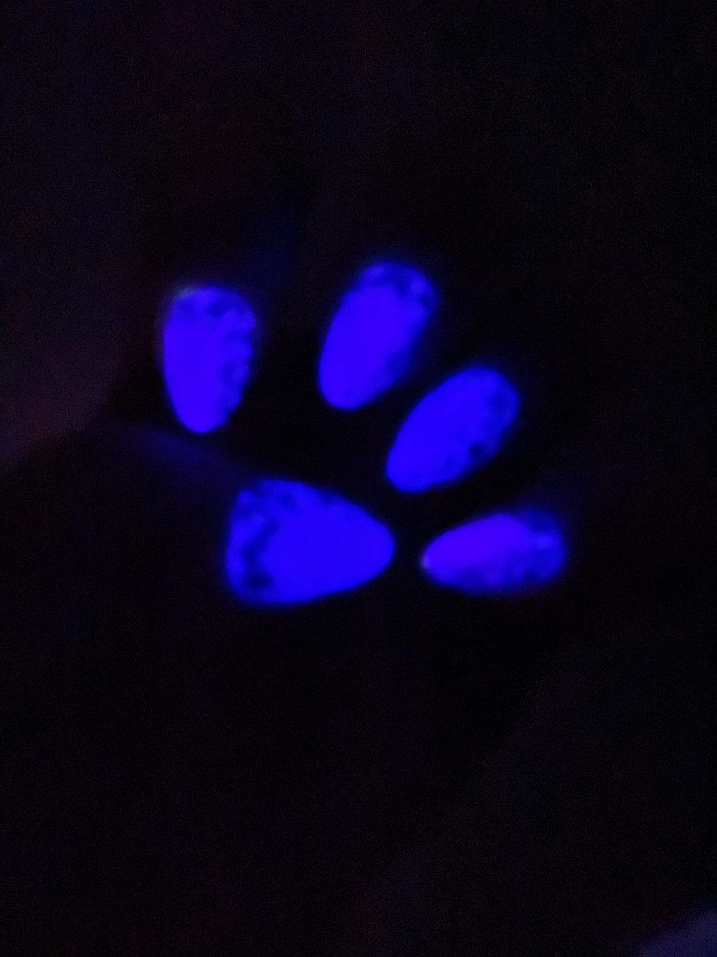 DARK KISS (GEL)