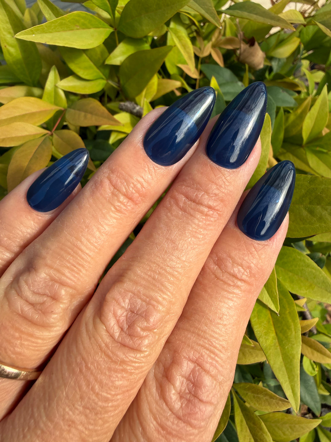 Transparent Tease (Gummy) (Gel)