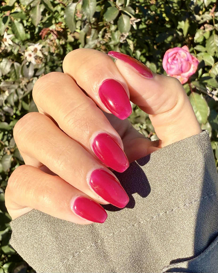 Lollipop Logic (Gummy) (Gel)