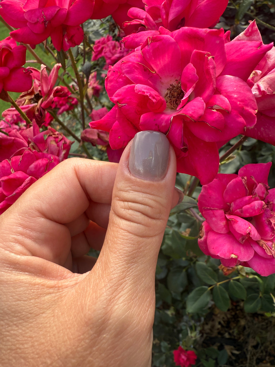Spy In Stilettos (Gel)