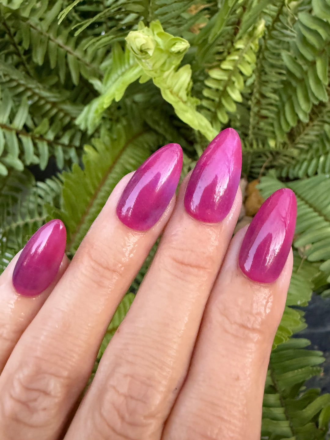 Reindeer Wishes (Temp)