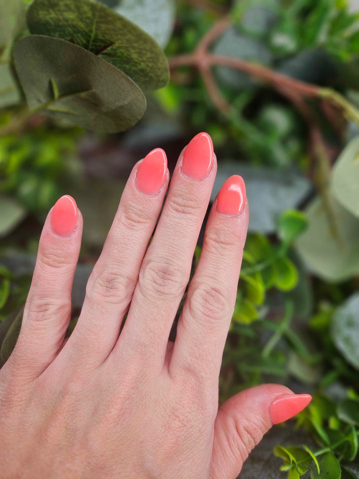 Day 5 - Dual Drama (Sun)