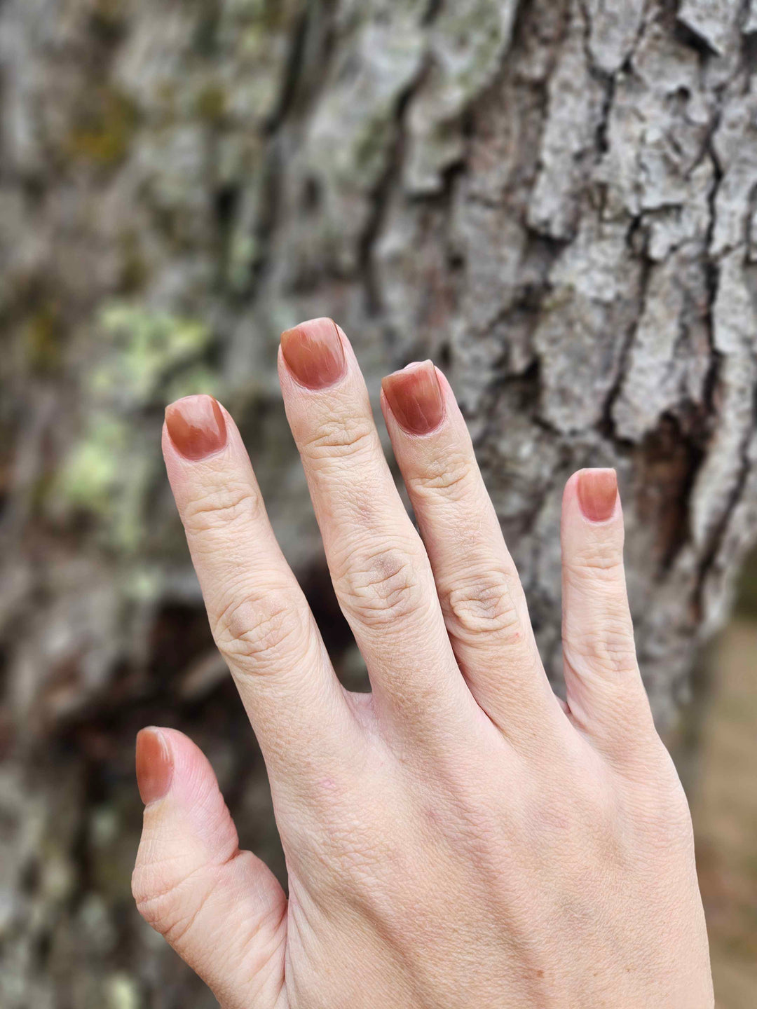 Sheer Brilliance (Gummy) (Gel)