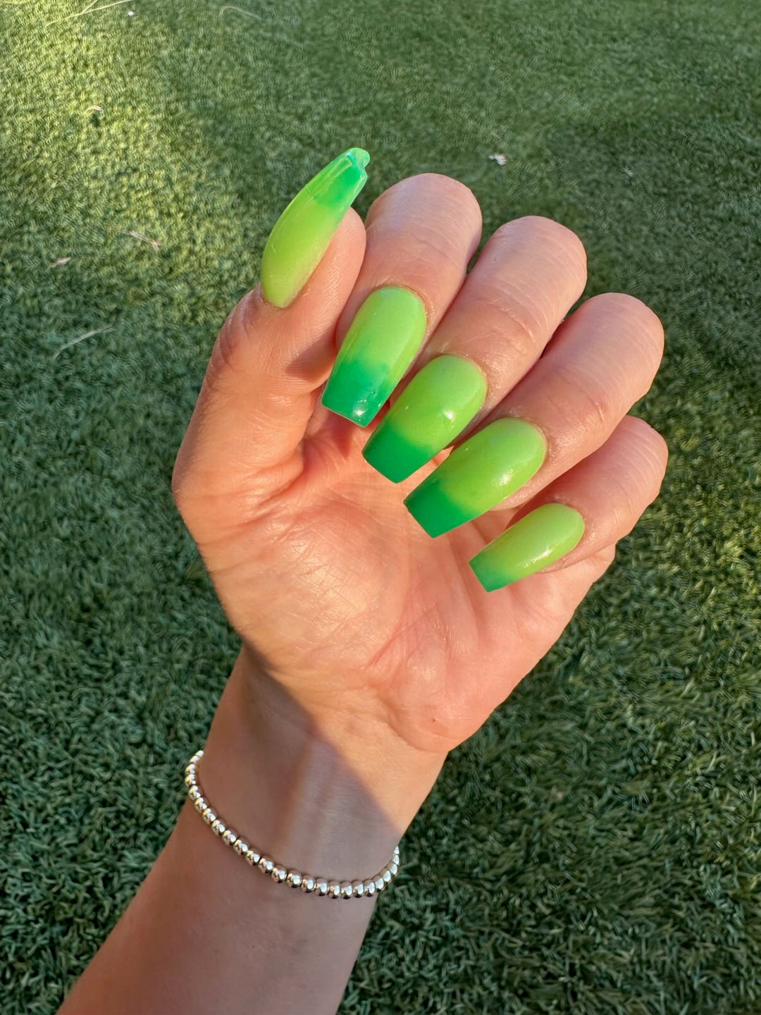 Rein-Dear Diary (Temp)