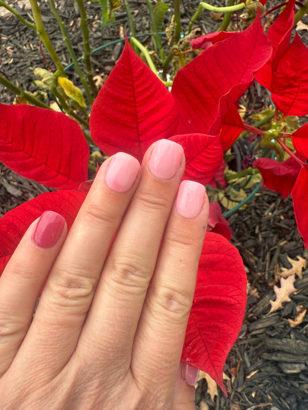 Signed, Sealed, Delivered (Temp)