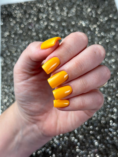 HAPPY HAYRIDE (GEL)