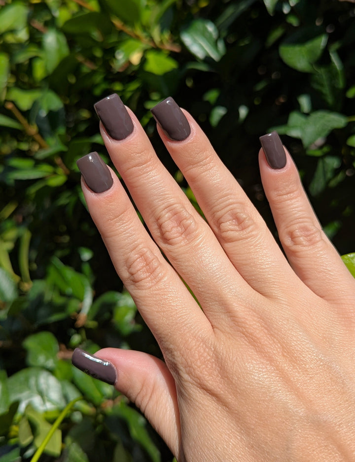 Fig & Fudge (All-In-One-Gel)