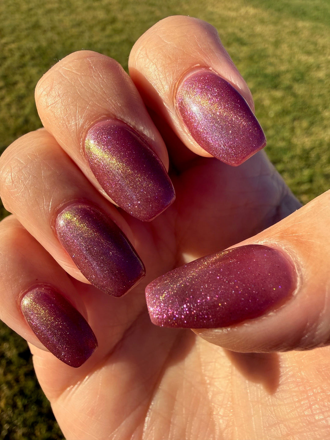 Untamed Aura (Magnetic) (Gel)