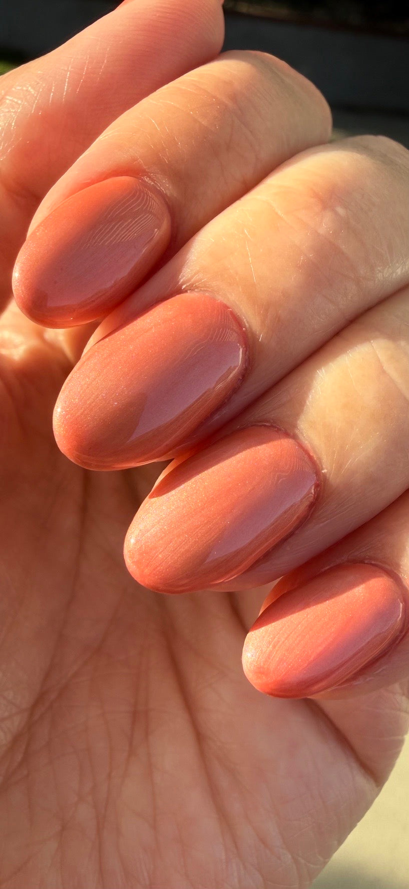Watermelon Splash (Cat Eye Gel / Temp)