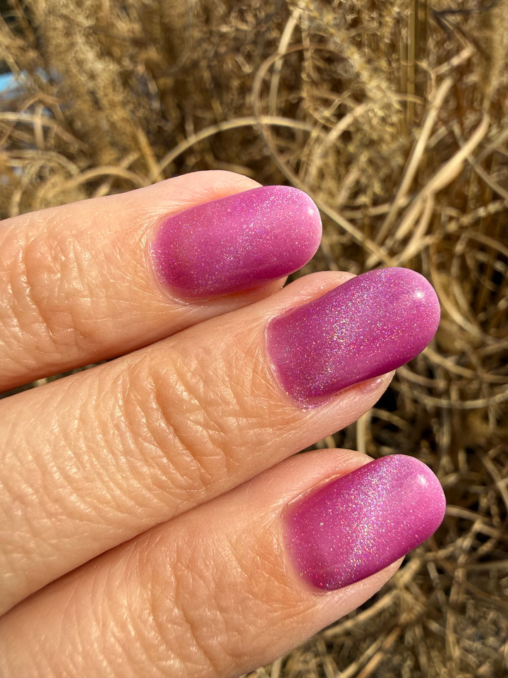 Devil In The Details (Magnetic) (Gel)