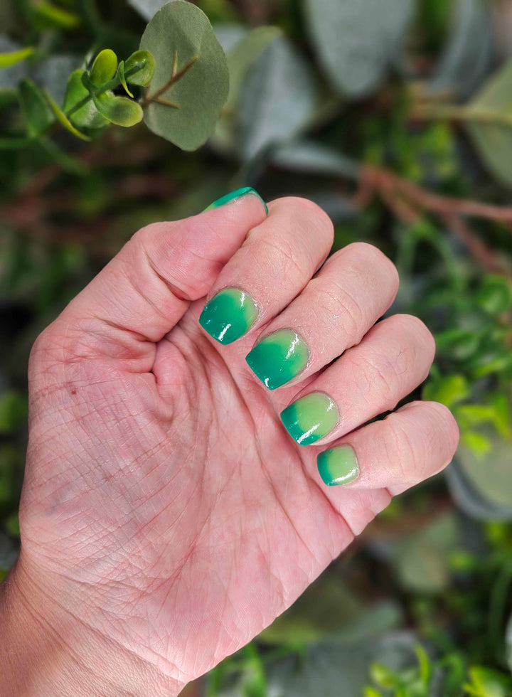 Rein-Dear Diary (Temp)