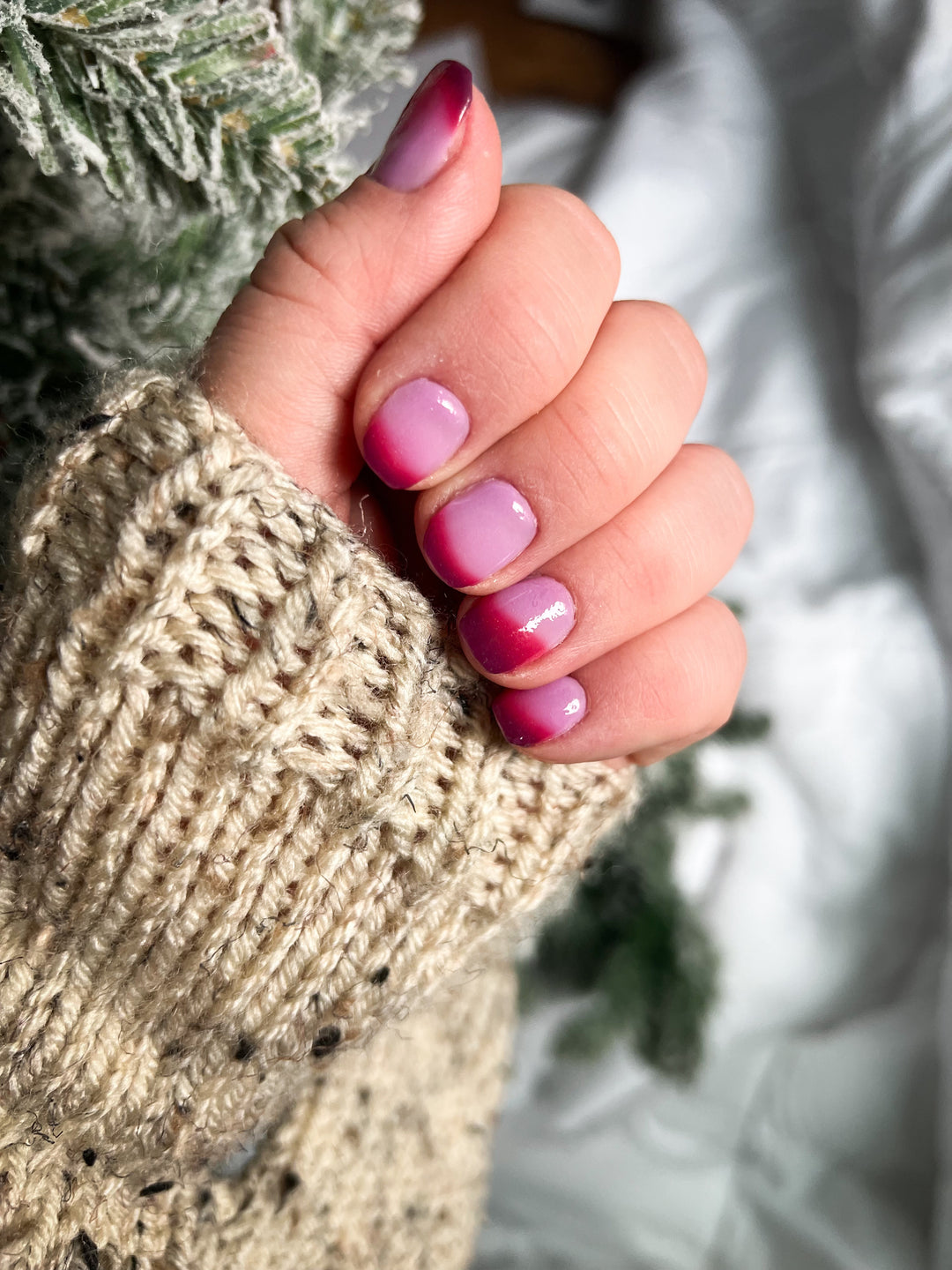 Reindeer Wishes (Temp)