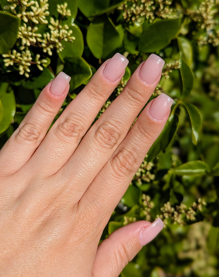 French Pink (Gel)