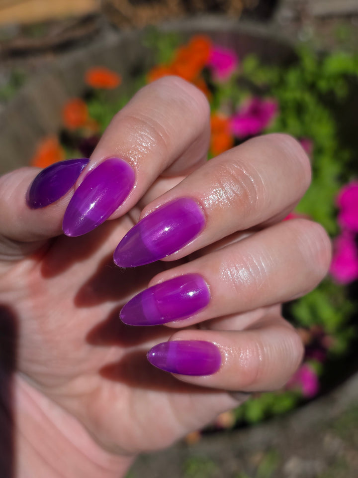 Violet Reef (Gel)