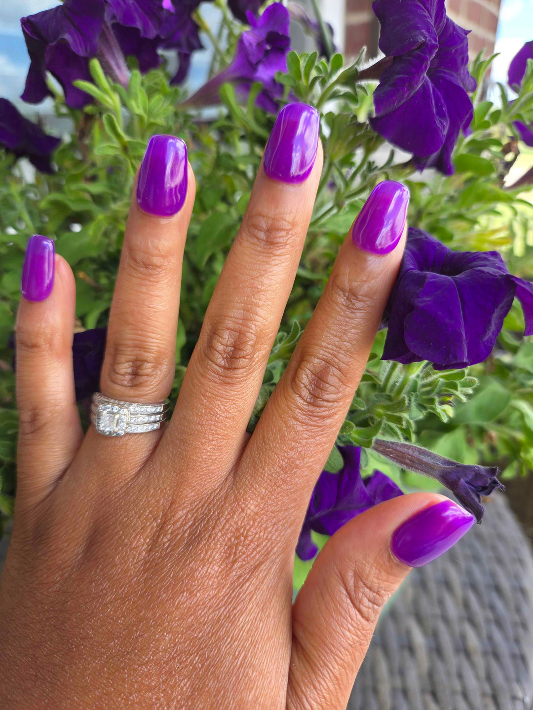 Violet Reef (Gel)
